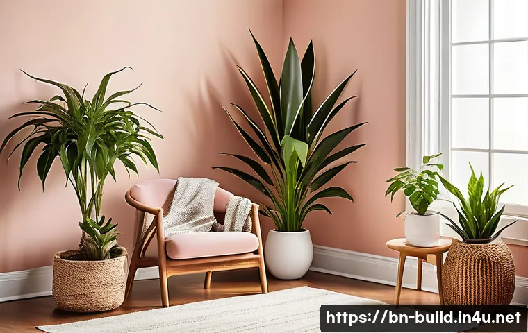 실내 공기질 관리 관련 이미지 1