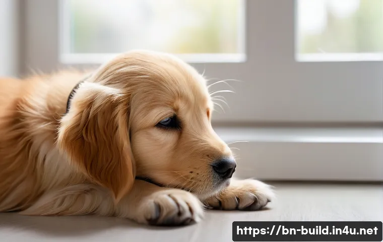 আপনার ঘরের বাতাস বিষাক্ত? এই ৫টি উপায়ে এখনই সমাধান করুন! 4 실내 공기질 관리 관련 이미지 2